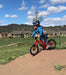 Frog 40 First Pedal Kids Bike 14" Wheel in Action