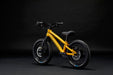 Commencal Kids Ramones 14" Mountain Bike in Ohlins Yellow