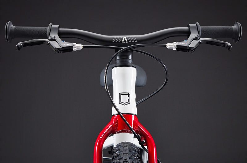 Commencal Ramones 14 Kids Mountain Bike (Single Speed)