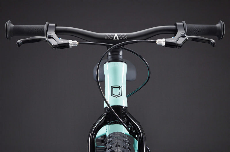 Commencal Ramones 14 Kids Mountain Bike (Single Speed)