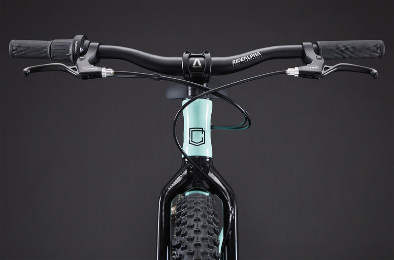 Commencal Ramones 20 Mountain Bike (7-Speed)