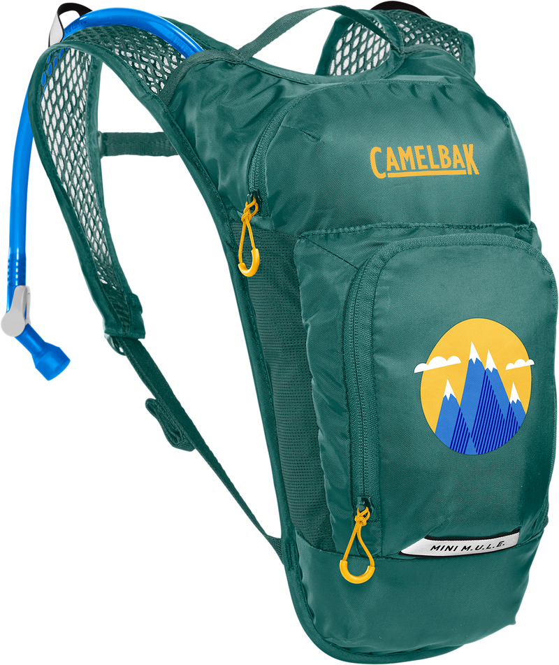 CamelBak Mini M.U.L.E. 50oz Kids Hydration Pack - Green with mountains from back