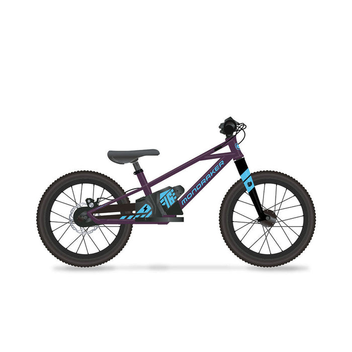 12+ Purple Mongoose Bike