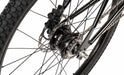 Cleary Meerkat 26" 5-Speed Bike Closeup Rear Hub